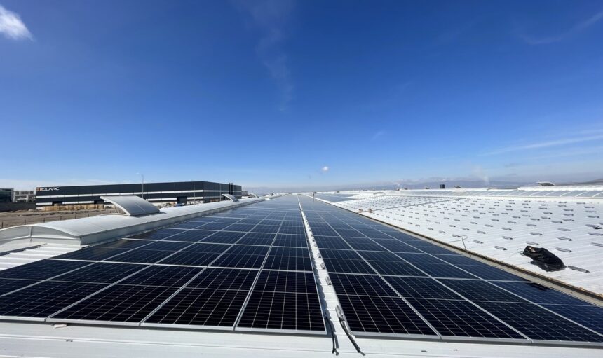 IMG_0099-min_1200x800