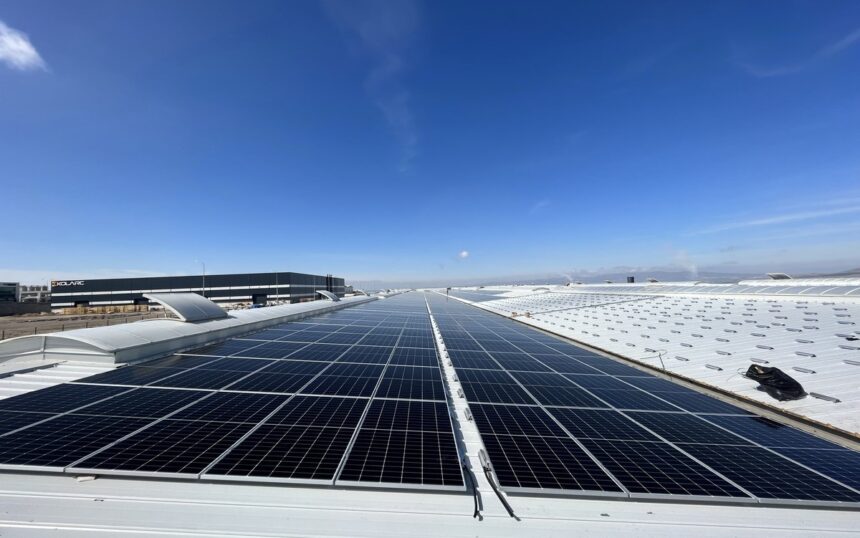 IMG_0099-min_1200x800